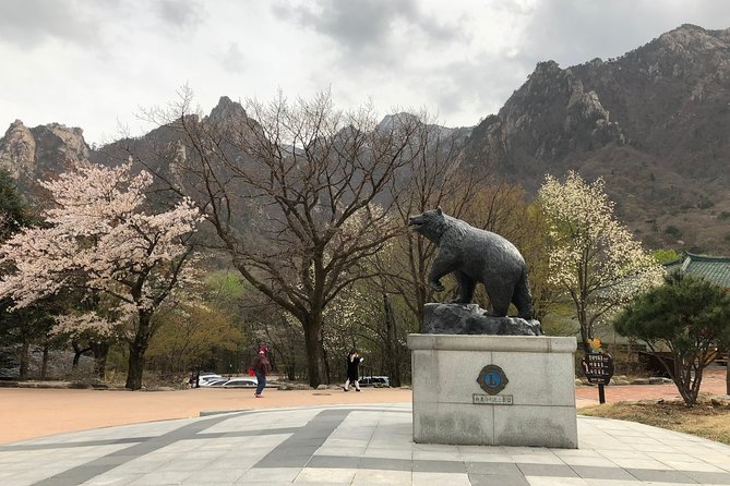 Mt. Seorak+Nami Island+Garden of Morning Calm Day Trip From Seoul - Exploring Mount Seorak