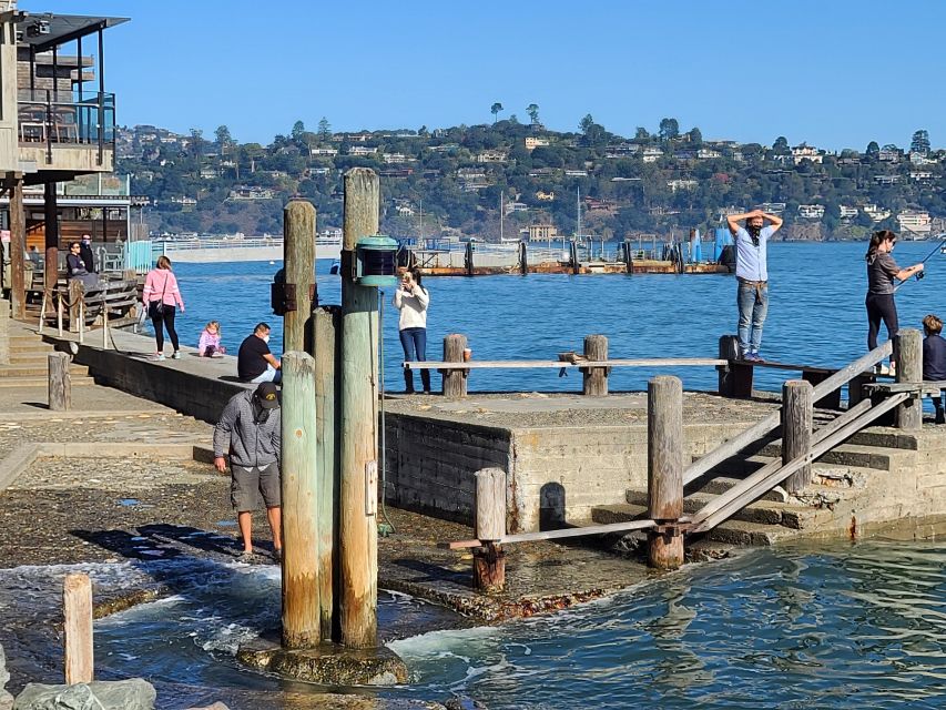 Muir Woods, Sausalito and Ferry Back to Fishermans Wharf - Drive Across Golden Gate Bridge