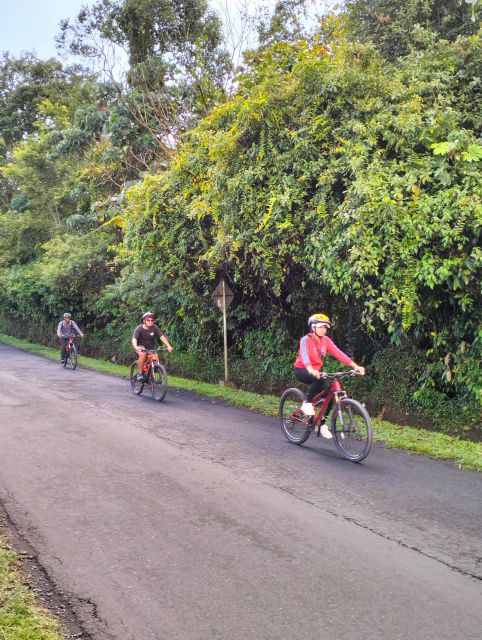 Munduk: Cross Country Down Hill Tamblingan to Lovina - Cycling Tour