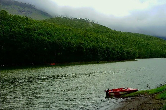 Munnar Site-seeing Tour - Inclusions and What to Expect