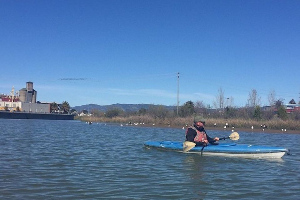 Napa Valley: Napa River Kayak Rental - Frequently Asked Questions