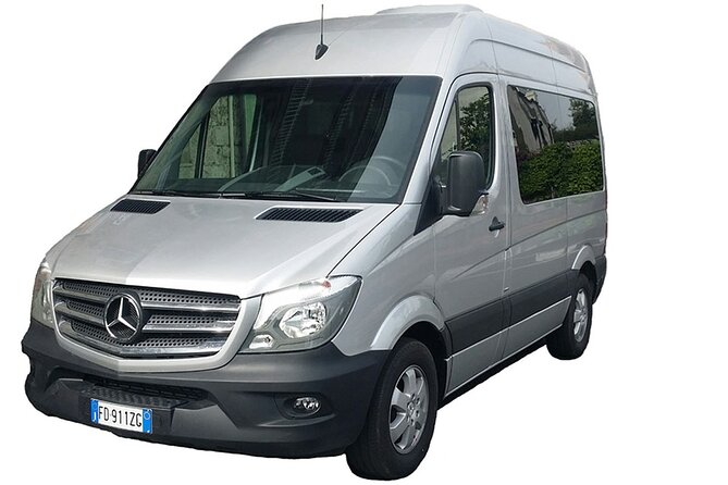Naples Airport Private Departure Transfer - Accessibility Options