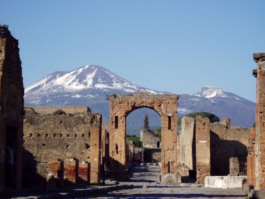 Naples: Full-Day Pompeii & Herculaneum Wine Tasting Tour - Customer Review