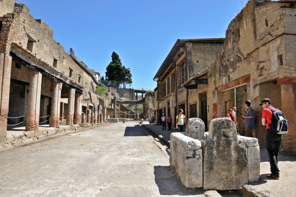 Naples: Pompeii and Herculaneum Private Walking Tour - Break and Transportation