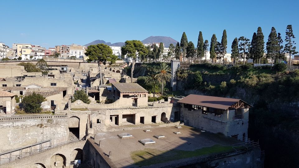 Naples: Skip-the-line Herculaneum and Vesuvius Day Trip - Tour Duration and Inclusions