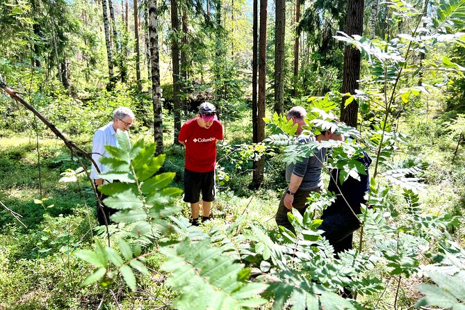 National Park Hike & Finnish Smoke Sauna Experience With Campfire Lunch - Hike Through Sipoonkorpi National Park