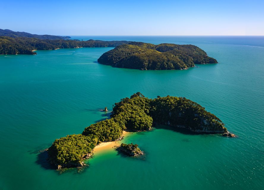 Nelson: Abel Tasman Cruise-Fly Day Tour - Itinerary Highlights