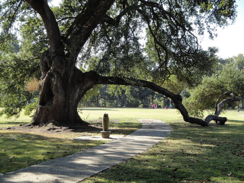 New Orleans: 2.5-Hour City & Cemetery Tour by Bus - Included in the Tour