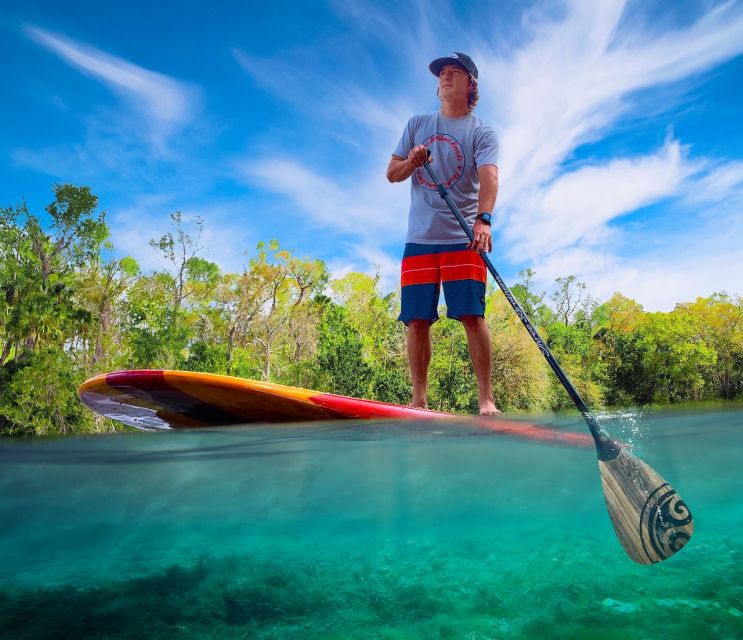 New Smyrna: Half-Day Guided SUP or Kayak Waterways Tour - Inclusions