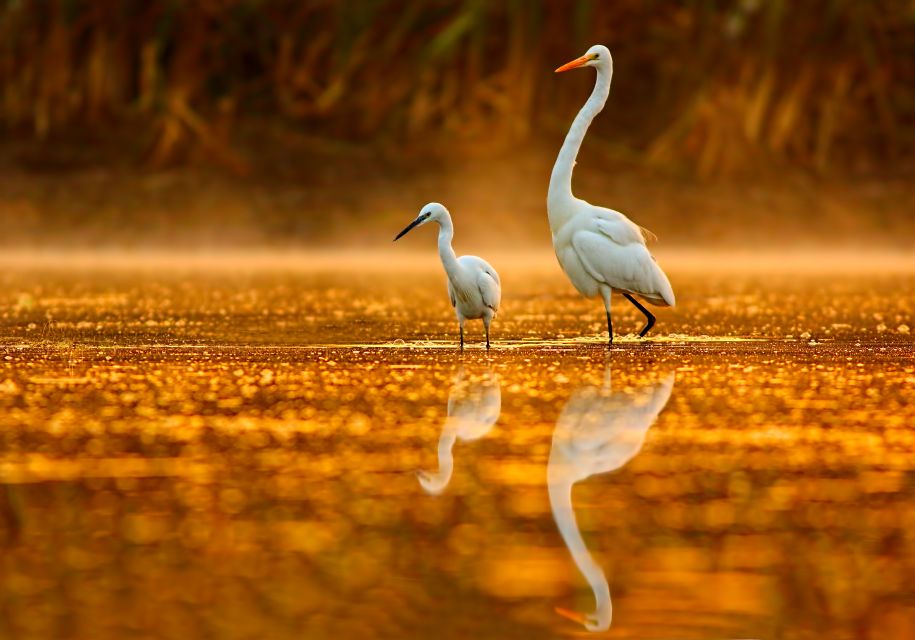 Noosa: Afternoon Cruise Through the Noosa Everglades - Customer Reviews