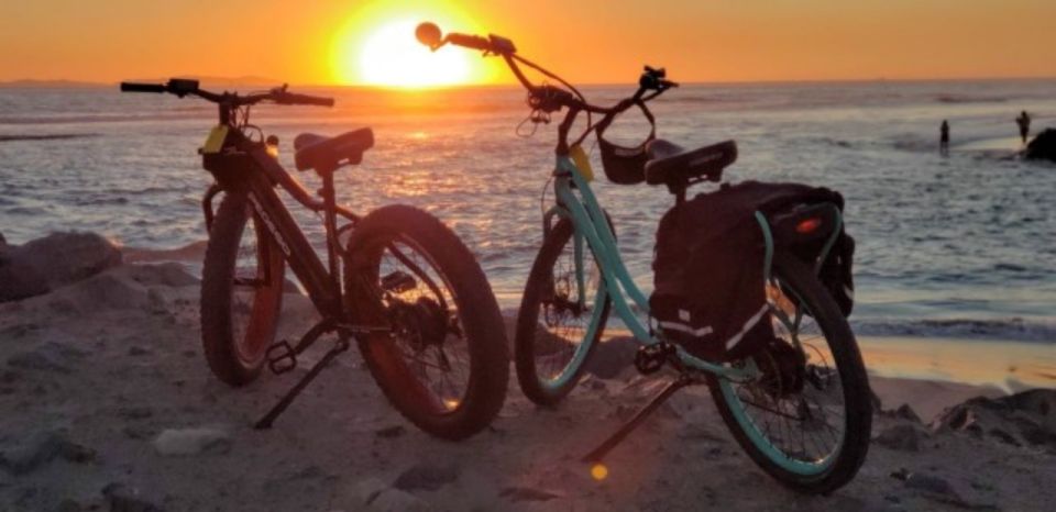 Norfolk: Electric Bike Rental - Exploring Downtown Norfolk