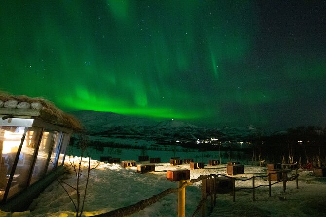 Northern Lights Husky Visit - Cancellation Policy