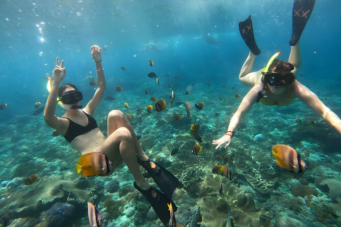 Nusa Penida Island Beach Tours With Snorkeling From Bali - Transportation Arrangements