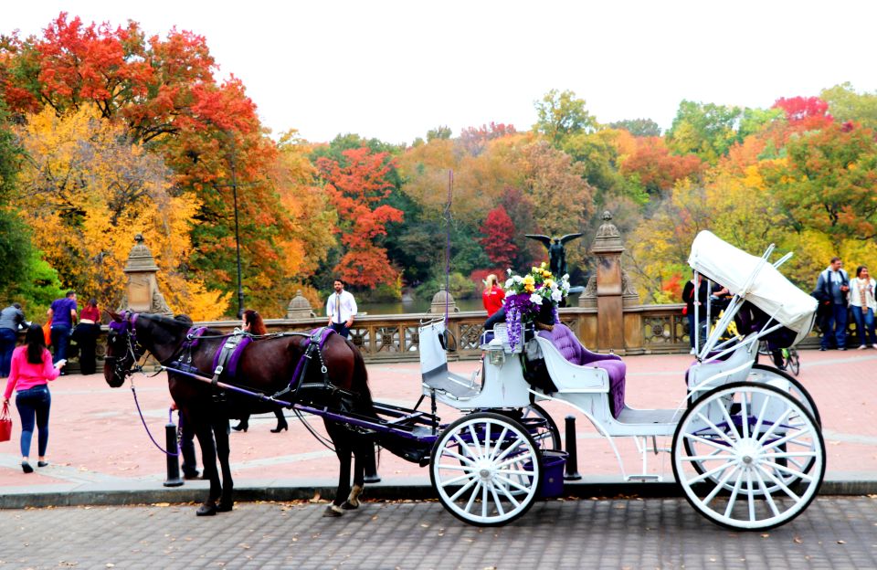 NYC: Central Park Horse-Drawn Carriage Ride (up to 4 Adults) - Customer Reviews