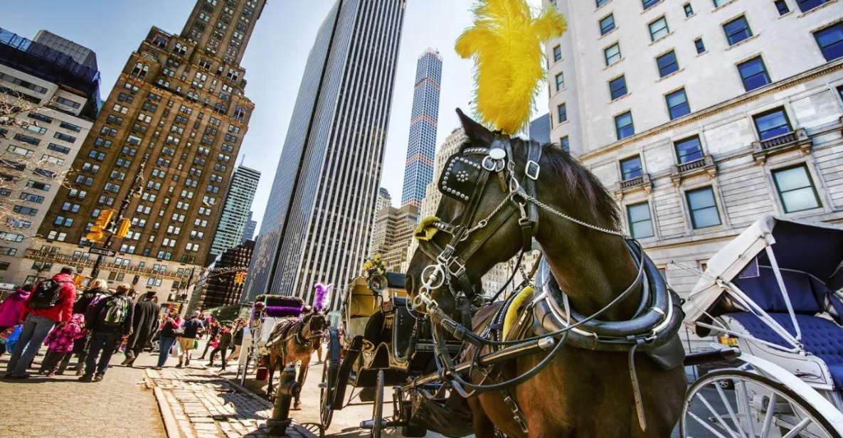 NYC:Guided Central Park Horse Carriage Ride - Carriage Ride Experience