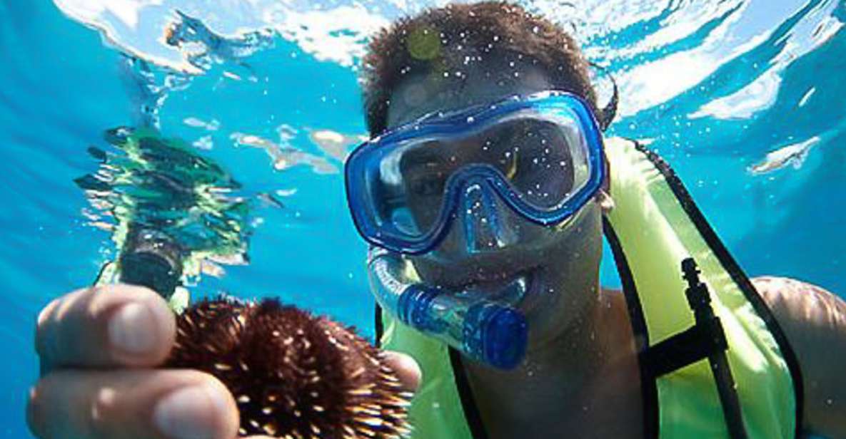 Oahu: Hilton Hawaiian Village Morning Snorkel With Lunch - Boat Features