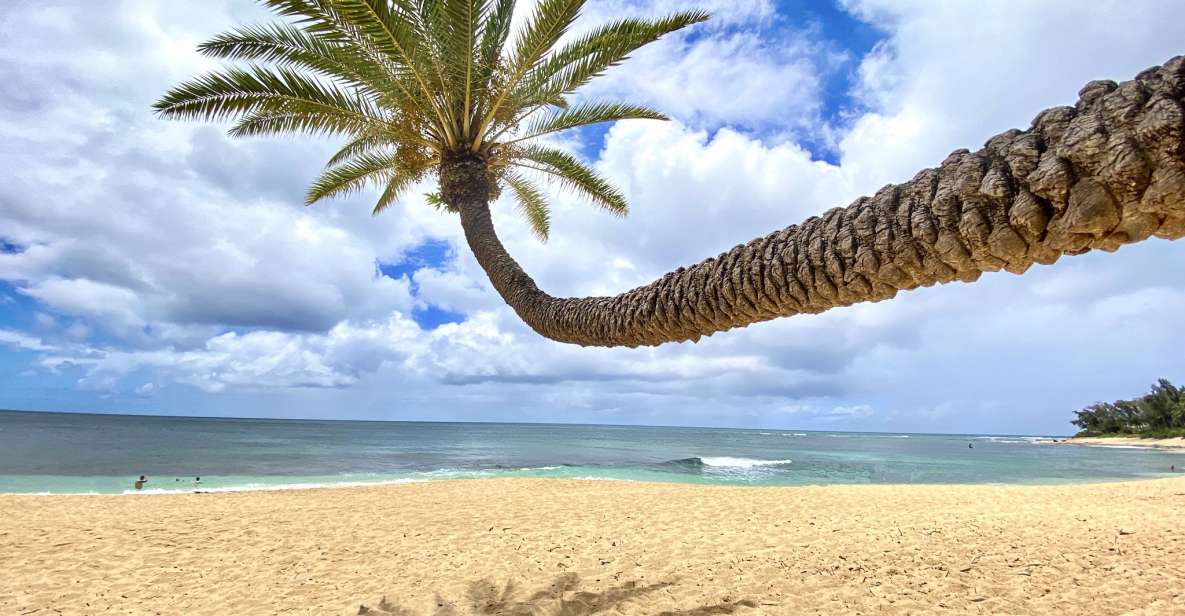 Oahu: North Shore Experience and Dole Plantation - North Shore Beaches