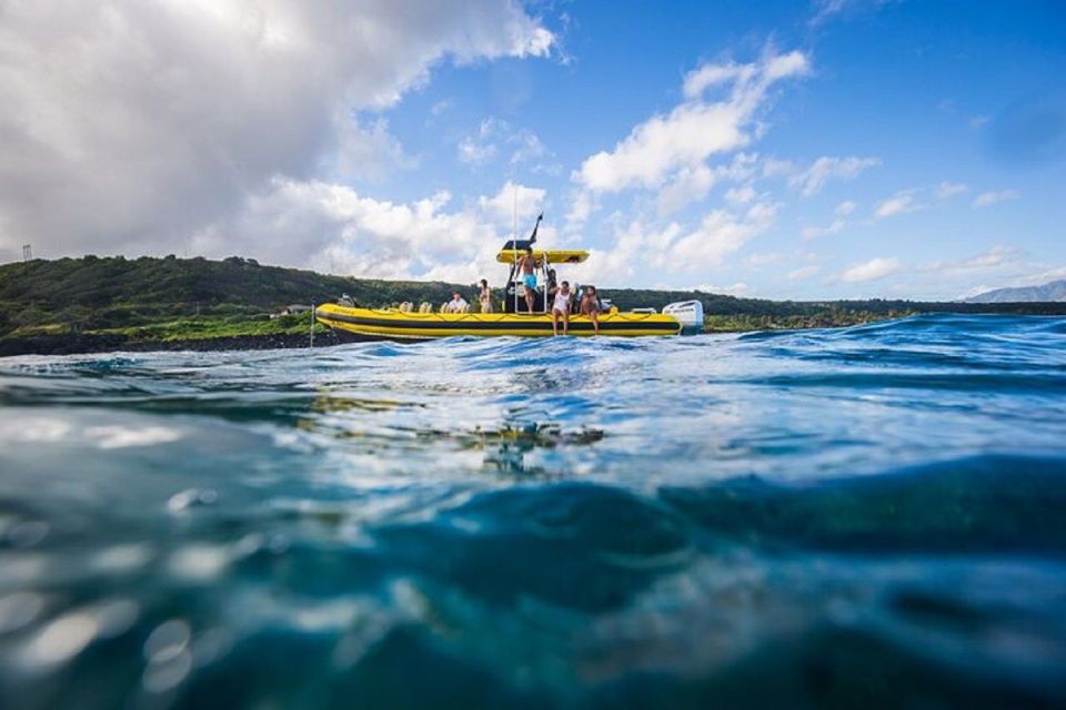 Oahu: North Shore Marine Life Tour From Haleiwa - Exploring the Kaena Coastline