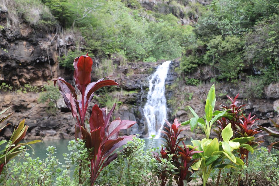 Oahu: Valley of Waimea Falls Swim & Hike With Lunch & Dole - Pickup Locations and Times