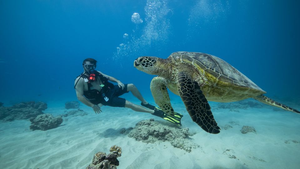 Oahu: Waikiki Discovery Scuba Diving for Beginners - Preparation and Requirements