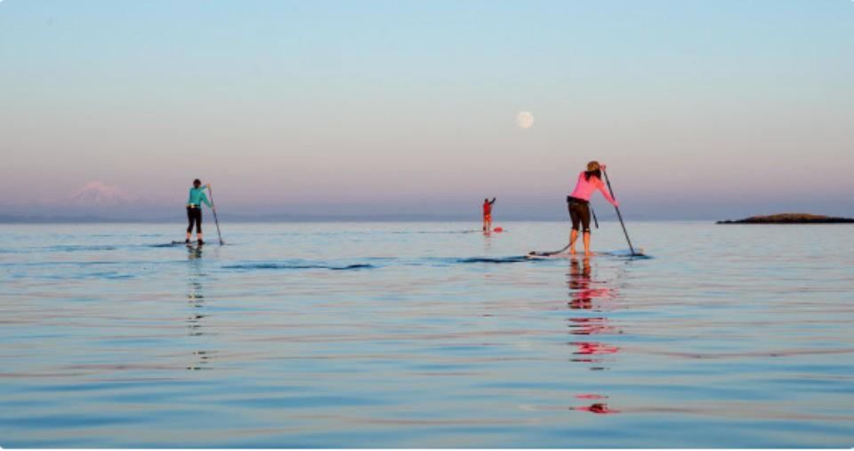 Oak Bay: Full Moon Paddle Experience - Full Moon Adventure Schedules