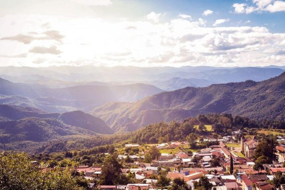 Oaxaca: Forest and Nature Walking Experience - Discovering Benito Juárez Through Mural