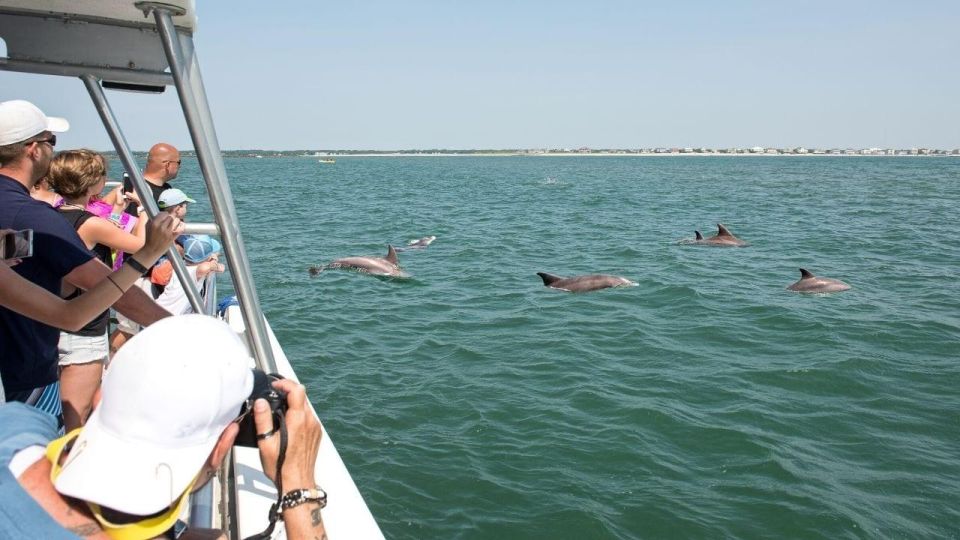 Ocean City, MD: Sea Rocket Sunset Cruise & Dolphin Watch - Coastal Wildlife Spotting