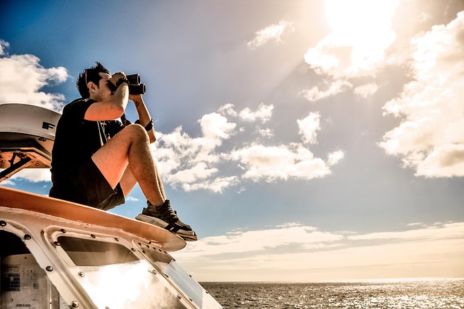 Odyssee 3: The Glass Bottom Boat Tour in Fuerteventura - Spotting Wildlife on the Tour