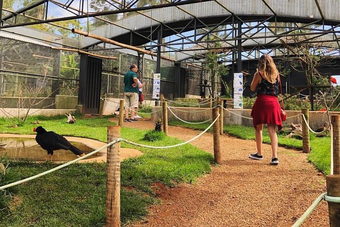 Official Ticket Zoo of the Birds - Poços De Caldas - Operating Hours