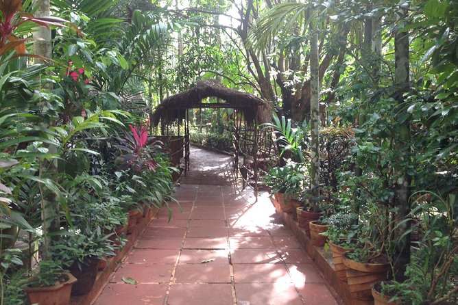 Old Goa Churches, Temples & Spice Plantation With Goan Lunch - Goan Culinary Experience