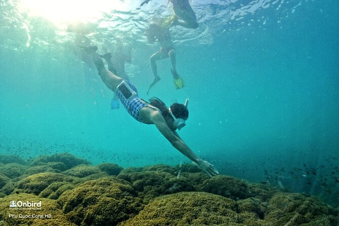 Onbird - PRIVATE ADVENTURE SNORKELING - Explore Half-Moon Reef & Coral Mountain - Sunset Catching and Cocktail