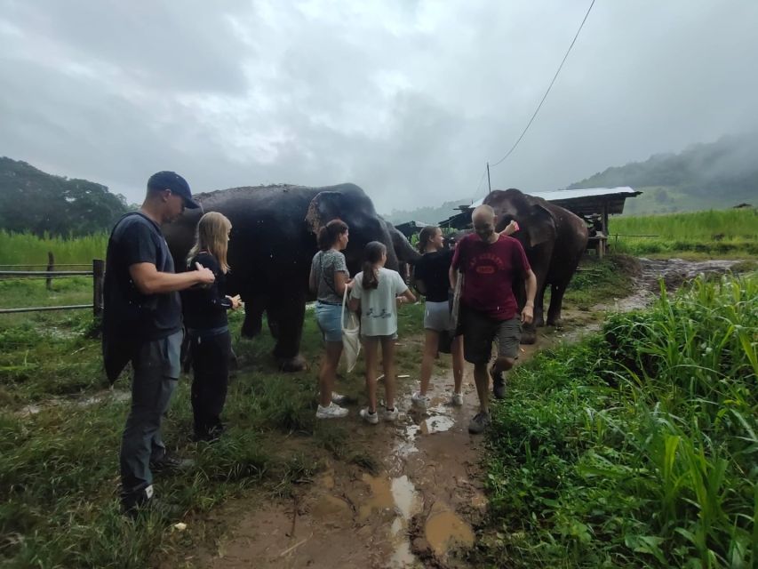 One Day Non Tourist Trek - Inclusions