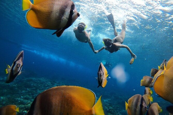 One Day Nusa Penida Island West With Snorkeling - Cruise Around Bays