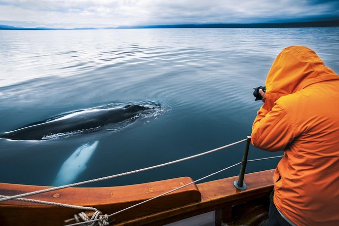 Original Carbon Neutral Whale Watching Tour From Húsavík - Meeting Point and Pickup Details