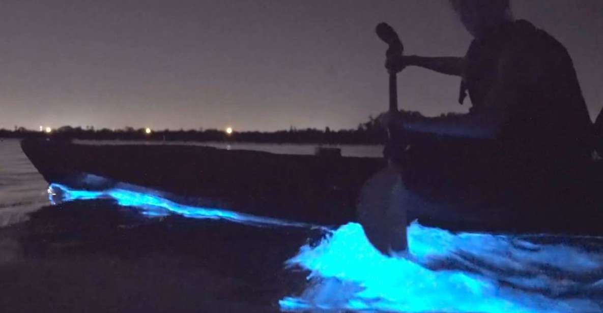 Orlando: Bioluminescence Clear Kayaking or Paddleboarding - Booking and Pricing