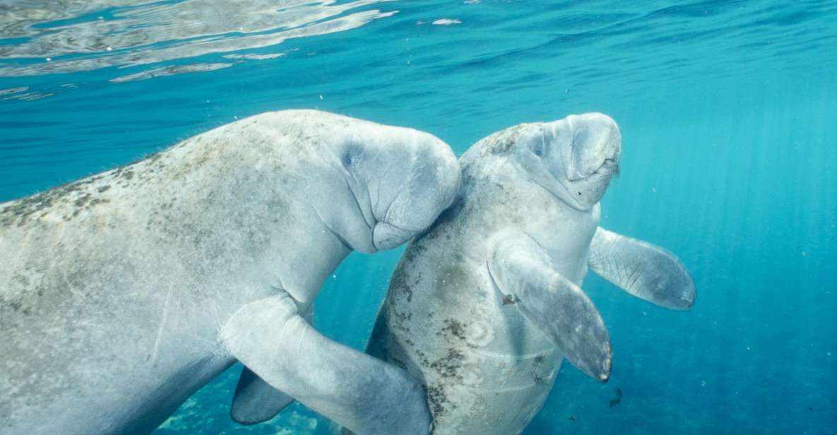 Orlando: Swim With Manatees and Homosassa State Park Visit - Homosassa State Park