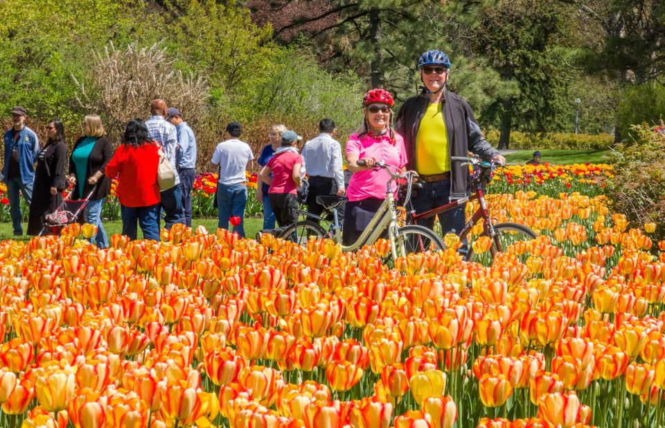 Ottawa: 2 or 3.5-Hour Sightseeing Bike Tour - Bicycle and Equipment