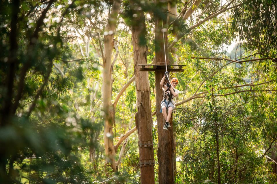 Ourimbah: Central Coast Treetops Adventure Tree Ropes Course - Group Size and Cancellation Policy