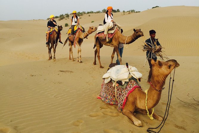Over Night Desert Adventure Camel Safari - What to Expect