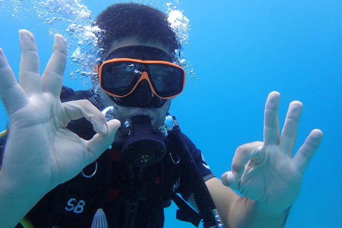 PADI Discover Scuba Diving in Koh Tao - Half Day and Two Dives - Inclusions and Meeting Point