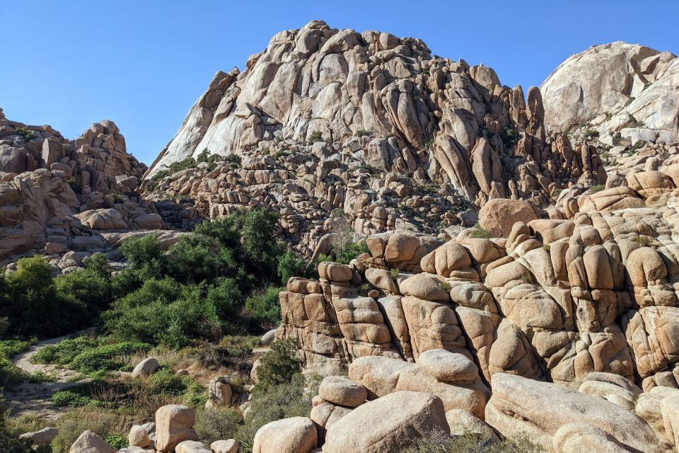 Palm Springs & Joshua Tree: National Park Self-Guided Tours - Oasis Visitor Center in Twentynine Palms