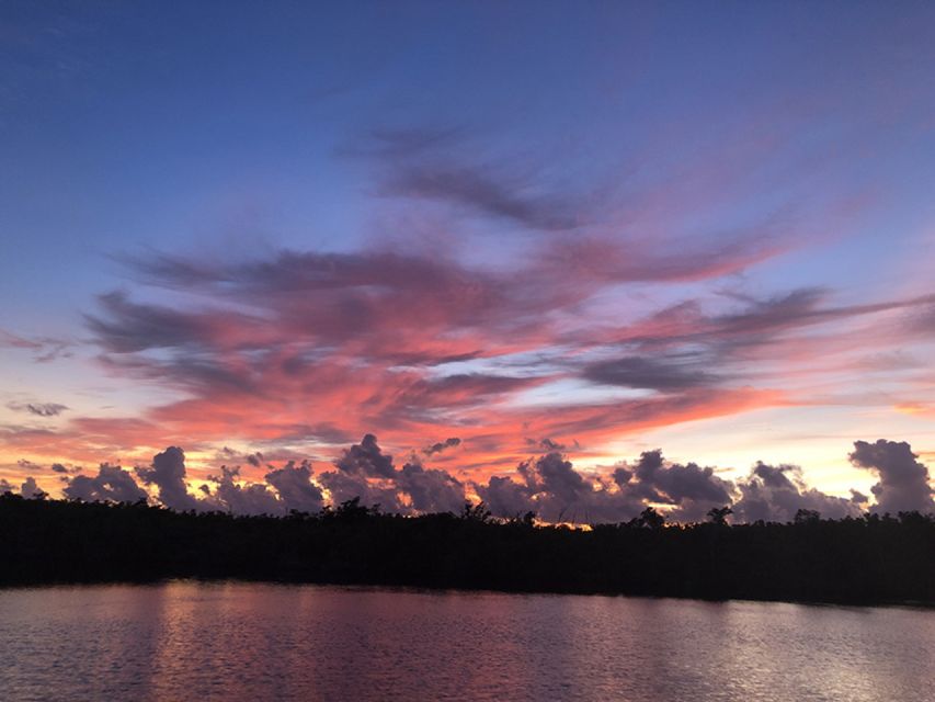 Panama City: Sunset Dolphin Cruise in St. Andrews Bay - Highlights of the Experience