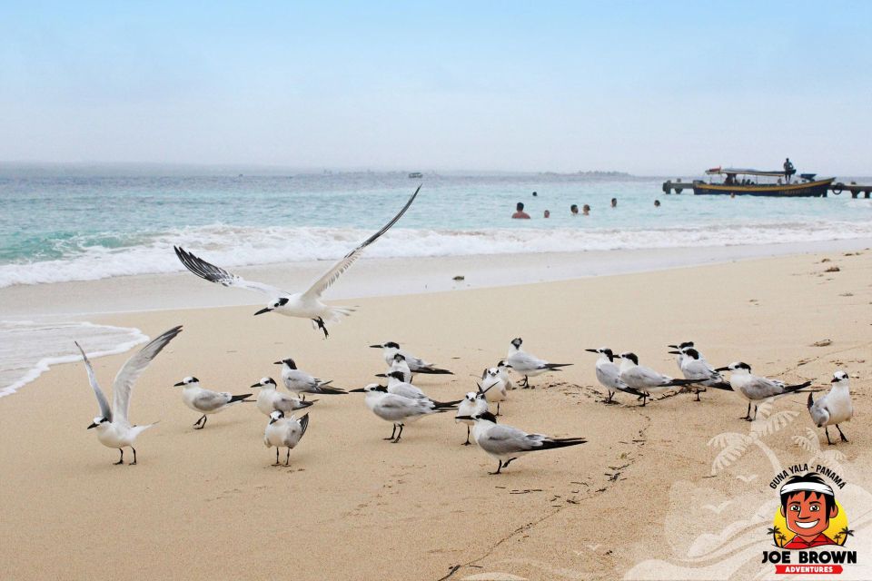 Paradise Unveiled: Discover the Enchanting San Blas Islands - Underwater Adventures