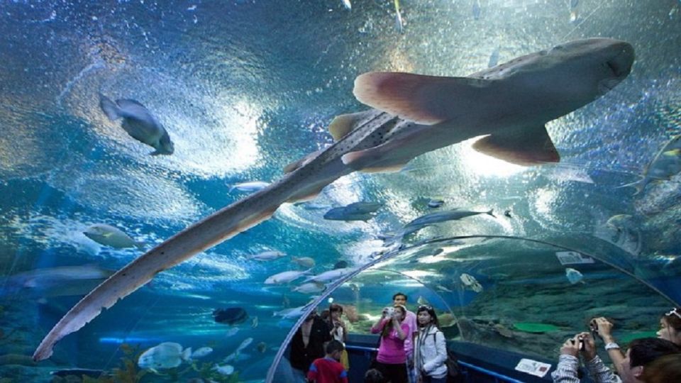 Pattaya: Underwater World Pattaya Aquarium Admission Ticket - Ticket Admission Details