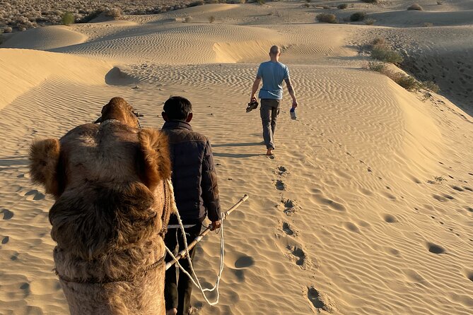 Peaceful Non -Touristic Sunset Camel Safari With Dinner - Safety and Accessibility