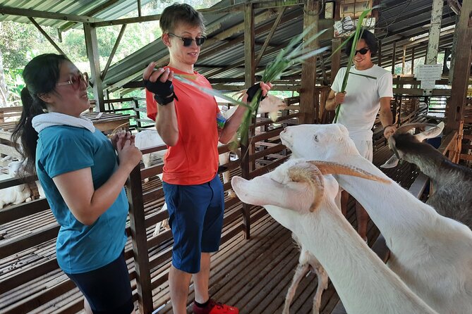 Penang Countryside Small Group Cycling Tour by Matahari - Meeting and Pickup