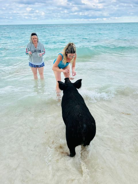 Perfect Day - Swimming Pigs, Snorkel & Beach Club - Highlights