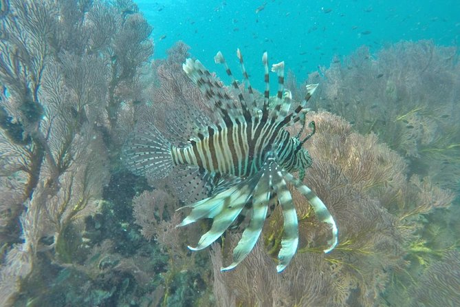 Phi Phi Early Bird - Beat The Crowds & Krabi 4 Islands From Krabi - Restrictions and Limitations