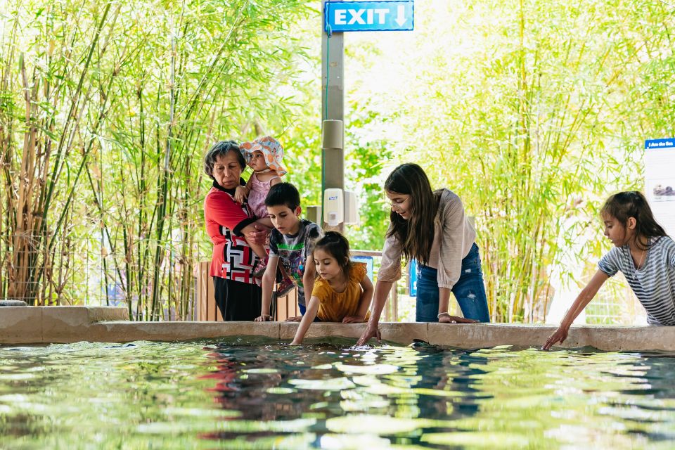 Phoenix Zoo: One Day General Admission Ticket - Ticket Pricing and Savings