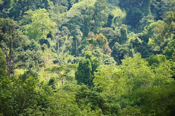 Phuket Elephant Sanctuary Canopy Walkway Tour - Meeting and Pickup Details